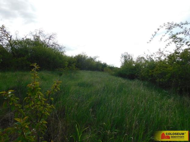 Prodej zahrady, Znojmo, 473 m2