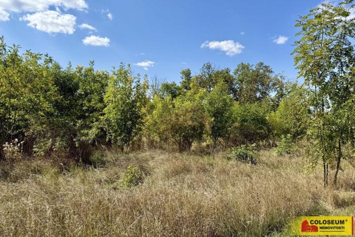 Prodej pozemku pro komerční výstavbu, Znojmo, 21190 m2