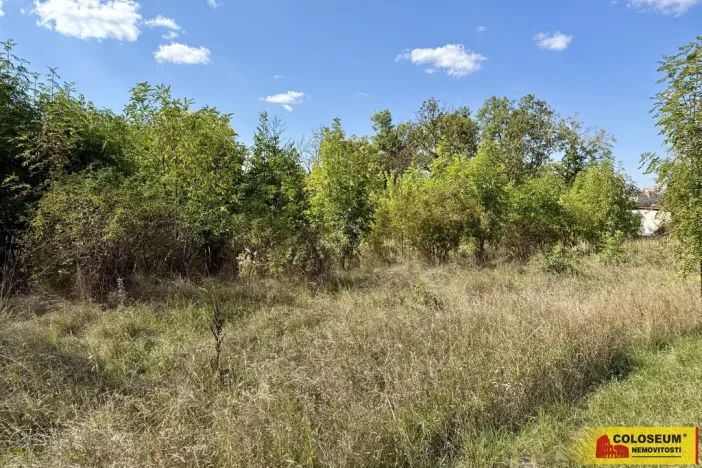 Prodej pozemku pro komerční výstavbu, Znojmo, 21190 m2