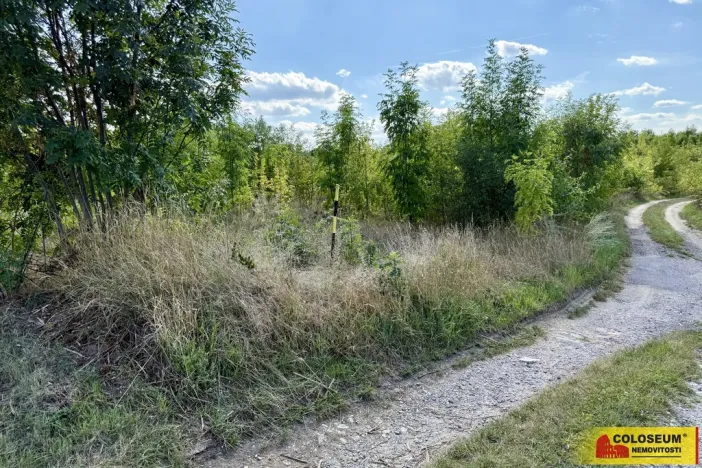 Prodej pozemku pro komerční výstavbu, Znojmo, 21190 m2