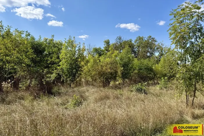 Prodej pozemku pro komerční výstavbu, Znojmo, 21190 m2