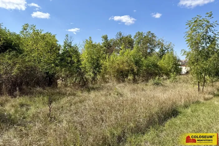 Prodej pozemku pro komerční výstavbu, Znojmo, 21190 m2