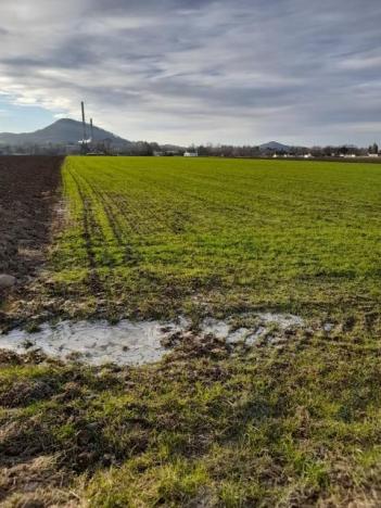 Pronájem zahrady, Kopřivnice, 700 m2