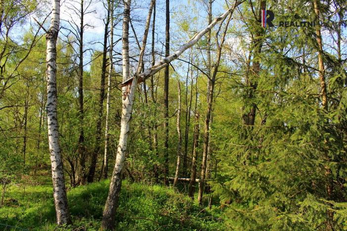 Prodej pozemku, Karlovy Vary - Hůrky, K Letišti, 3000 m2
