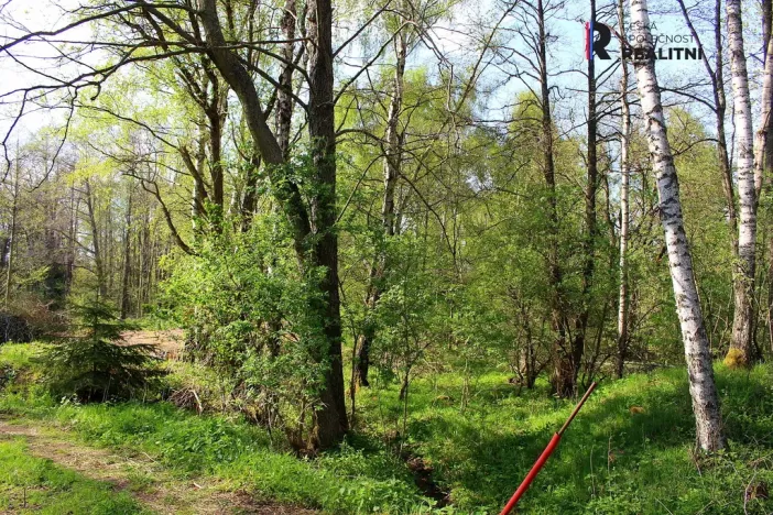Prodej pozemku, Karlovy Vary - Hůrky, K Letišti, 3000 m2
