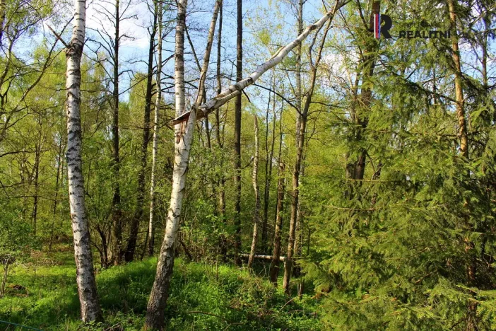 Prodej pozemku, Karlovy Vary - Hůrky, K Letišti, 3000 m2