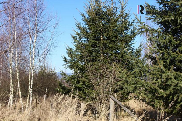 Prodej pozemku, Karlovy Vary - Doubí, Horní alej, 6300 m2