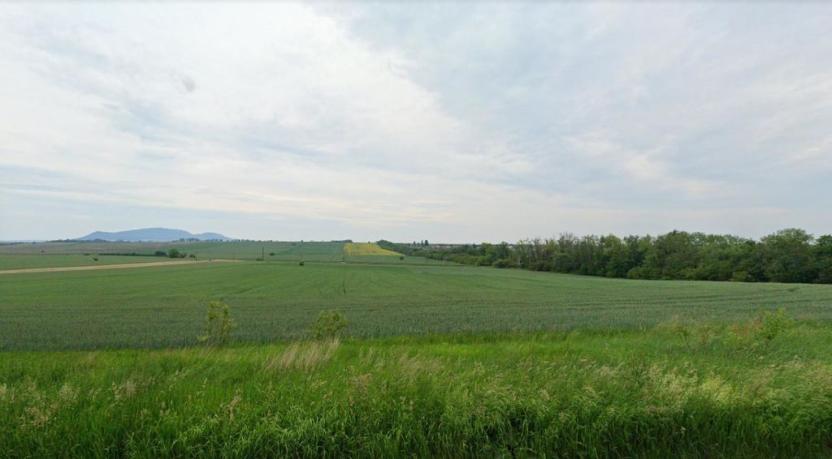 Prodej zemědělské půdy, Pouzdřany, 86446 m2