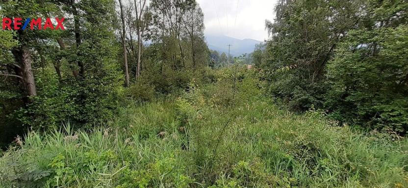 Prodej louky, Loučná nad Desnou, 2427 m2