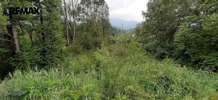 Prodej louky, Loučná nad Desnou, 2427 m2