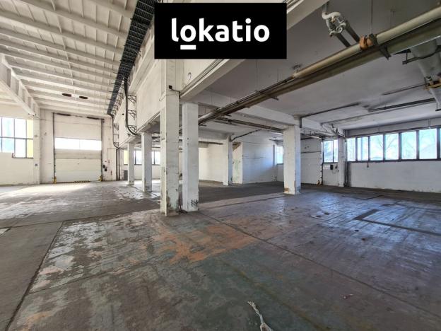 Pronájem skladu, Bruntál, 780 m2