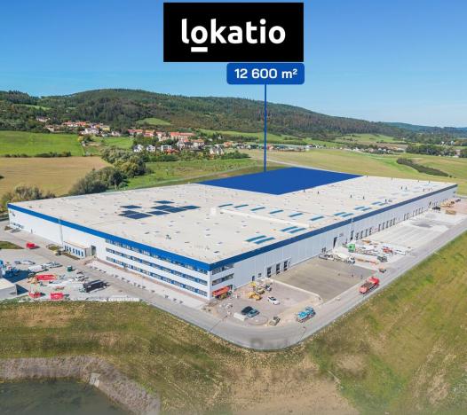 Pronájem skladu, Zdice, 12600 m2