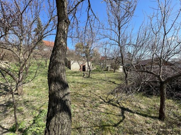 Prodej vinného sklepa, Valtice, 60 m2