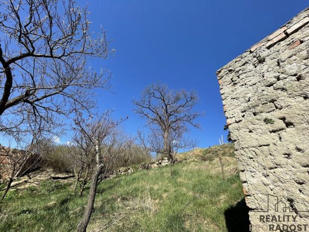 Prodej vinného sklepa, Valtice, 60 m2