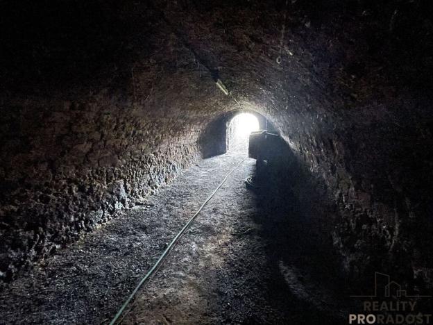 Prodej vinného sklepa, Valtice, 60 m2