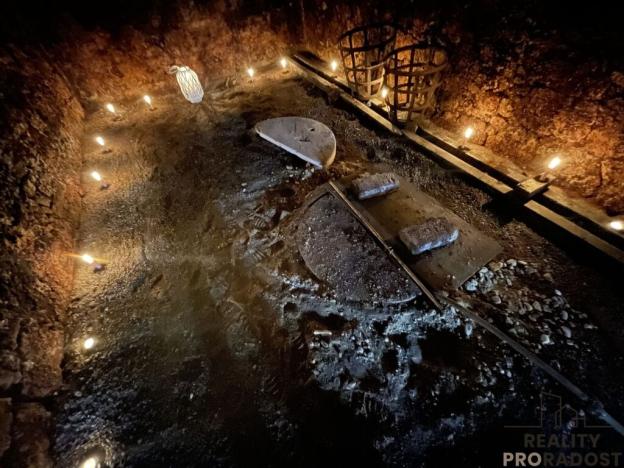 Prodej vinného sklepa, Valtice, 60 m2