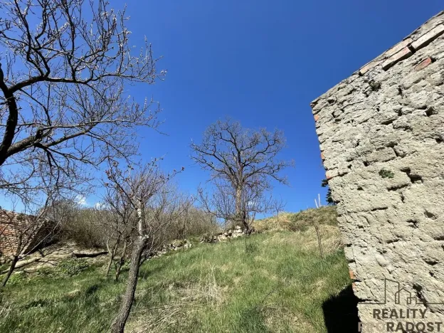 Prodej vinného sklepa, Valtice, 60 m2