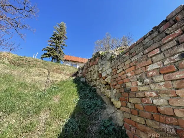 Prodej vinného sklepa, Valtice, 60 m2