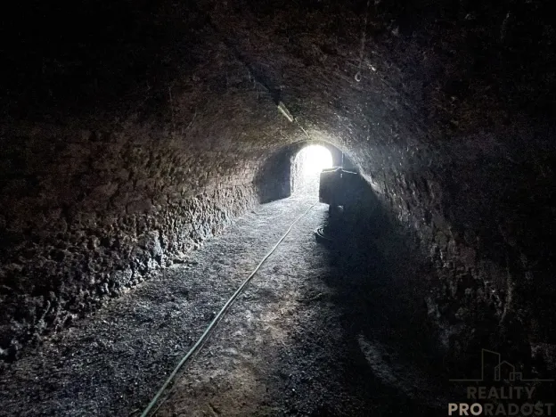 Prodej vinného sklepa, Valtice, 60 m2