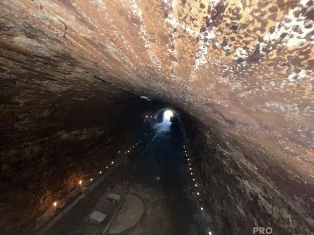 Prodej vinného sklepa, Valtice, 60 m2