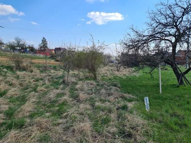 Prodej pozemku pro bydlení, Žeravice, 2754 m2