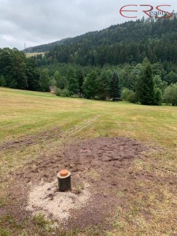 Prodej pozemku pro bydlení, Slaná - Hořensko, 2968 m2