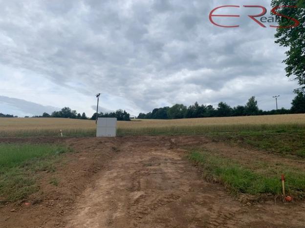 Prodej pozemku pro bydlení, Slaná - Hořensko, 2968 m2