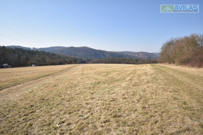 Prodej trvalého travního porostu, Krňany - Třebsín, Krňany, 31358 m2