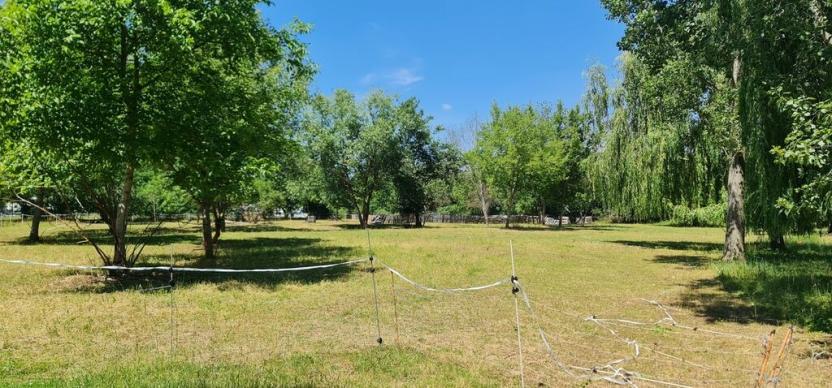 Prodej pozemku, Praha - Zbraslav, 10828 m2