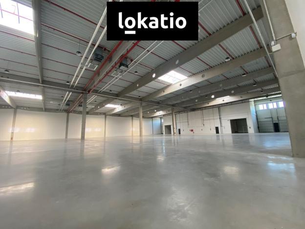 Pronájem výrobních prostor, Mikulov, 13200 m2