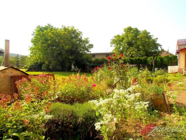 Pronájem bytu 1+kk, Bakov nad Jizerou - Chudoplesy, 15 m2