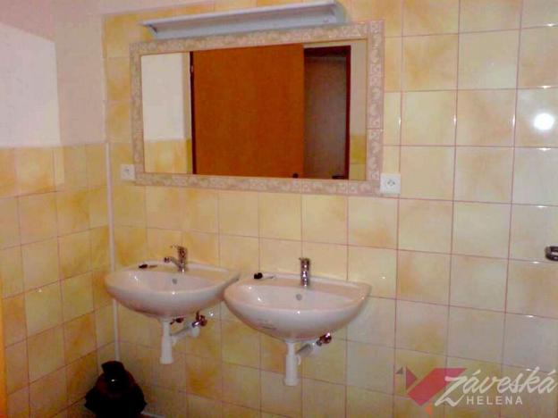 Pronájem bytu 1+kk, Bakov nad Jizerou - Chudoplesy, 15 m2