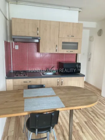 Pronájem bytu 1+kk, České Budějovice - České Budějovice 3, Lipenská, 21 m2