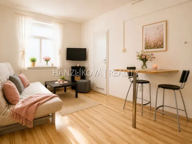 Pronájem bytu 1+kk, České Budějovice - České Budějovice 3, Lipenská, 21 m2