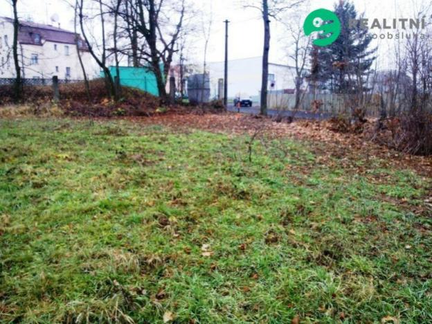 Prodej zemědělské půdy, Karlovy Vary - Bohatice, 15056 m2