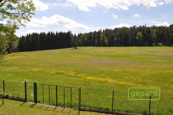 Prodej rodinného domu, Dvory, 222 m2