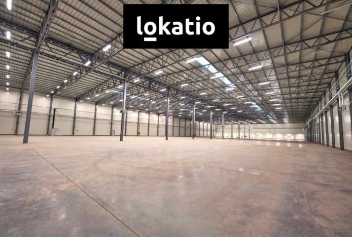 Pronájem skladu, Bílina, 9734 m2