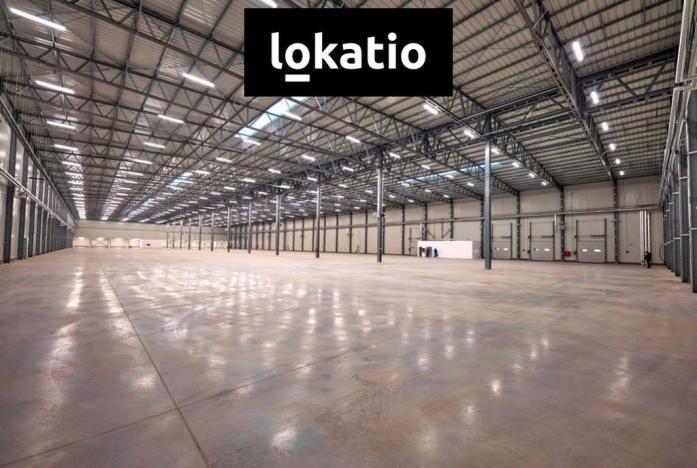 Pronájem skladu, Bílina, 9734 m2