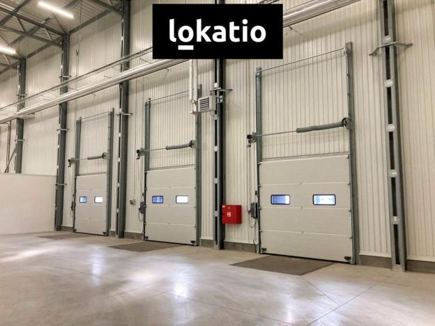 Pronájem skladu, Bílina, 9734 m2