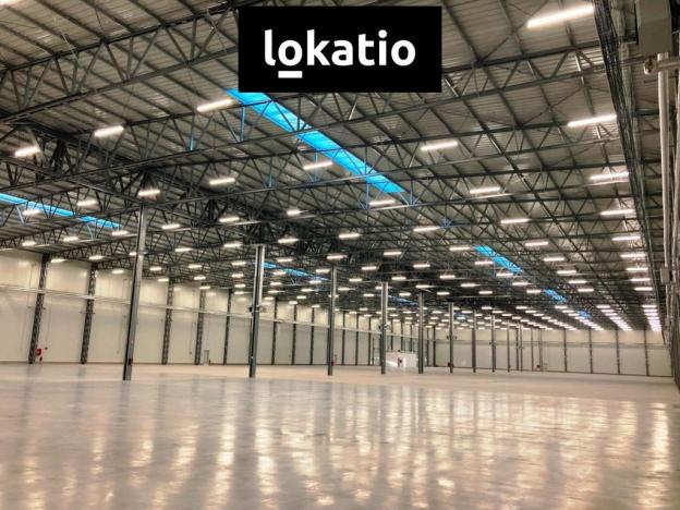Pronájem skladu, Bílina, 9734 m2