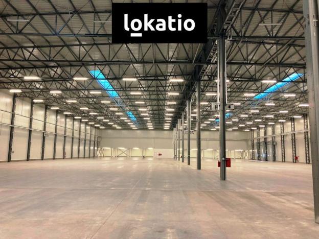 Pronájem skladu, Bílina, 9734 m2