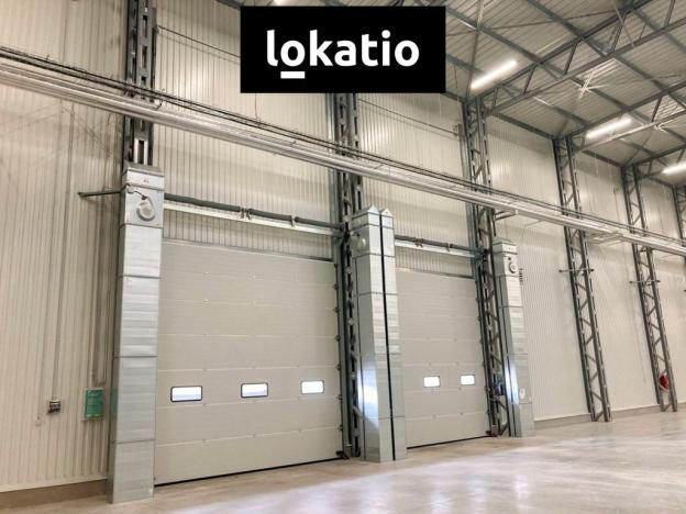 Pronájem skladu, Bílina, 9734 m2