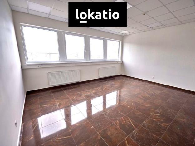 Pronájem skladu, Bílina, 9734 m2