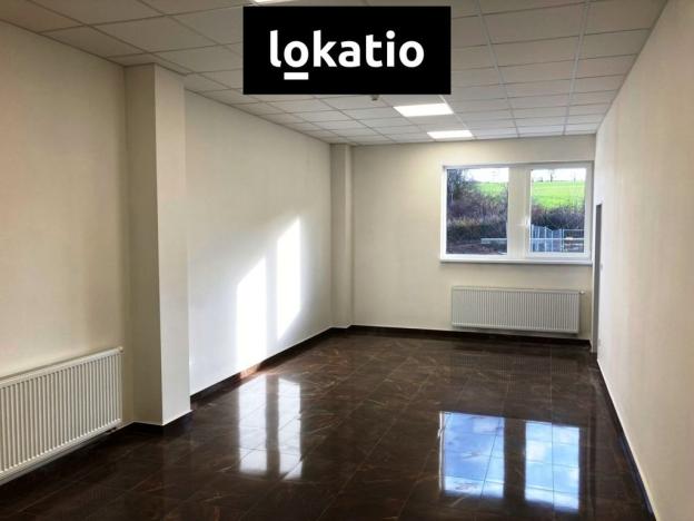 Pronájem skladu, Bílina, 9734 m2