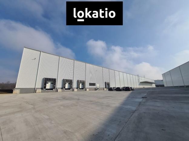 Pronájem skladu, Bílina, 9734 m2