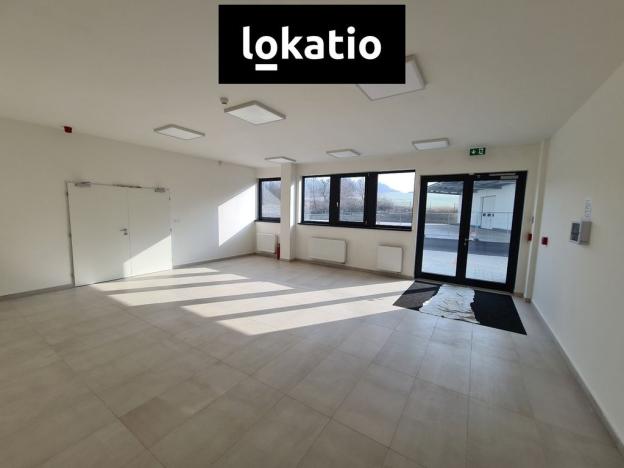 Pronájem skladu, Bílina, 9734 m2