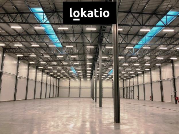 Pronájem skladu, Bílina, 3504 m2