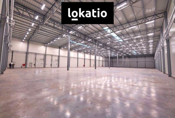 Pronájem skladu, Bílina, 3504 m2