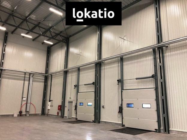 Pronájem skladu, Bílina, 3504 m2
