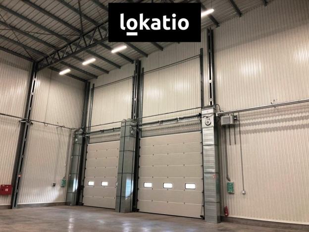 Pronájem skladu, Bílina, 3504 m2